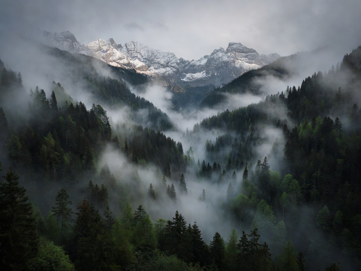 Misty morning fog over Slovenian Alpine valley and dense evergreen forests